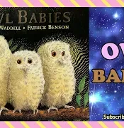 Owl Babies