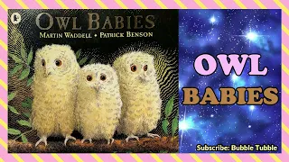 Owl Babies